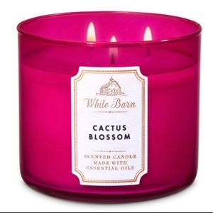 3 wick candle cactus blossom